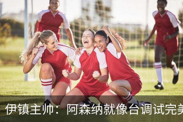 伊镇主帅：阿森纳就像台调试完美的机器，处理任何情况都游刃有余